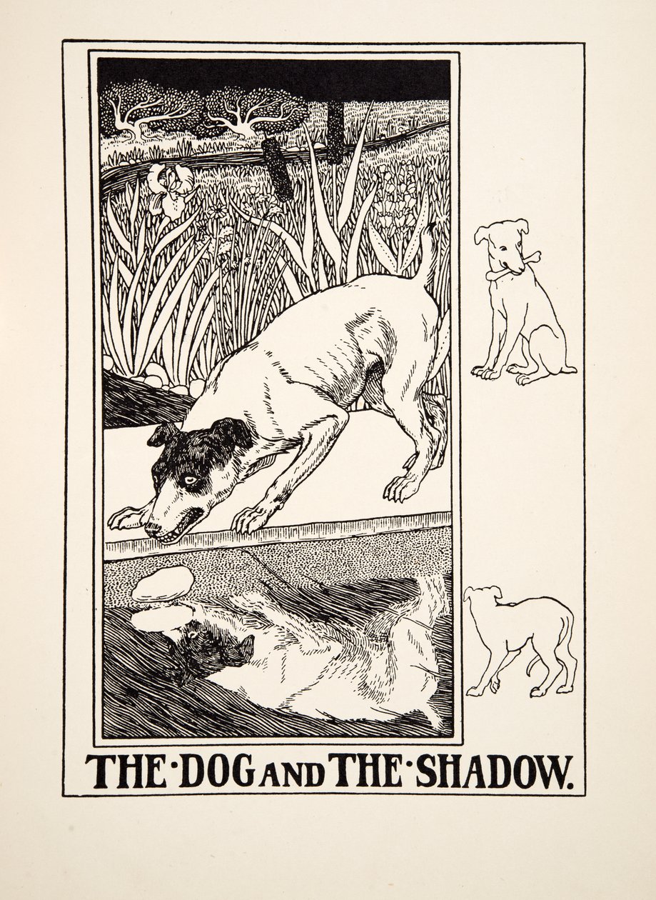 Pies i cień, ze Stu bajek Ezopa, wyd. 1903 autorstwa Percy J. Billingshurst
