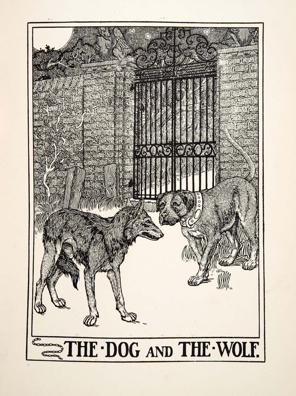 Pies i wilk, z Stu bajek Ezopa, wyd. 1903 (rycina) autorstwa Percy J. Billingshurst