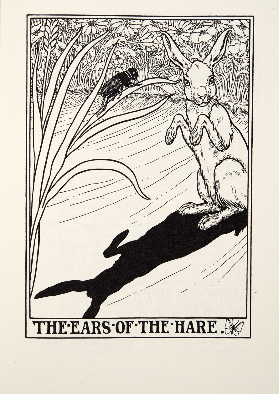 The Ears of the Hare, z Fontaine Fables, wyd. 1905 autorstwa Percy J. Billingshurst