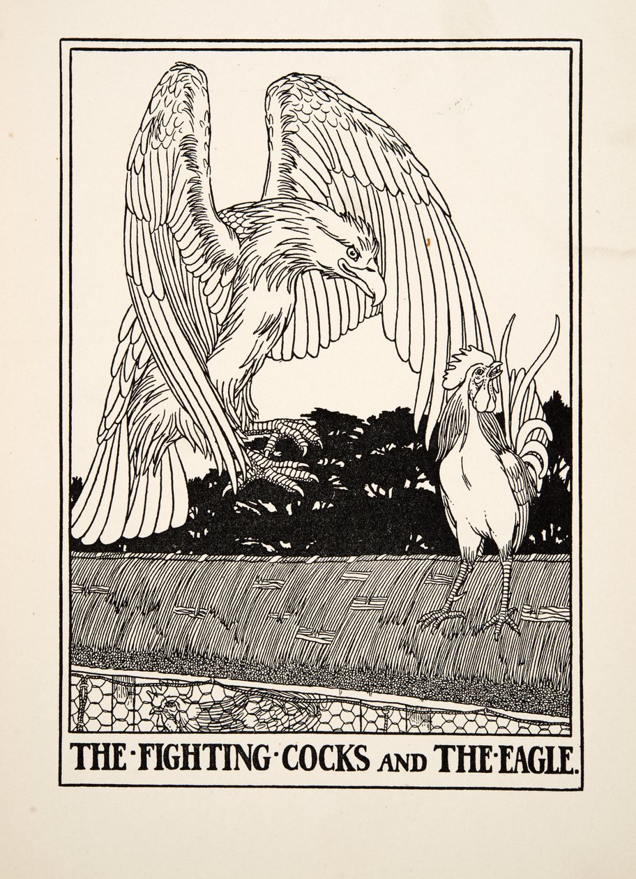 Walczące koguty i orzeł, z Stu bajek Ezopa, wyd. 1903 autorstwa Percy J. Billingshurst