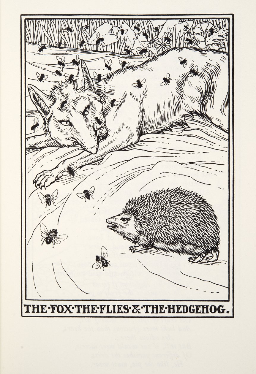 Lis, muchy i jeż, z Fontaine Fables, wyd. 1905 autorstwa Percy J. Billingshurst