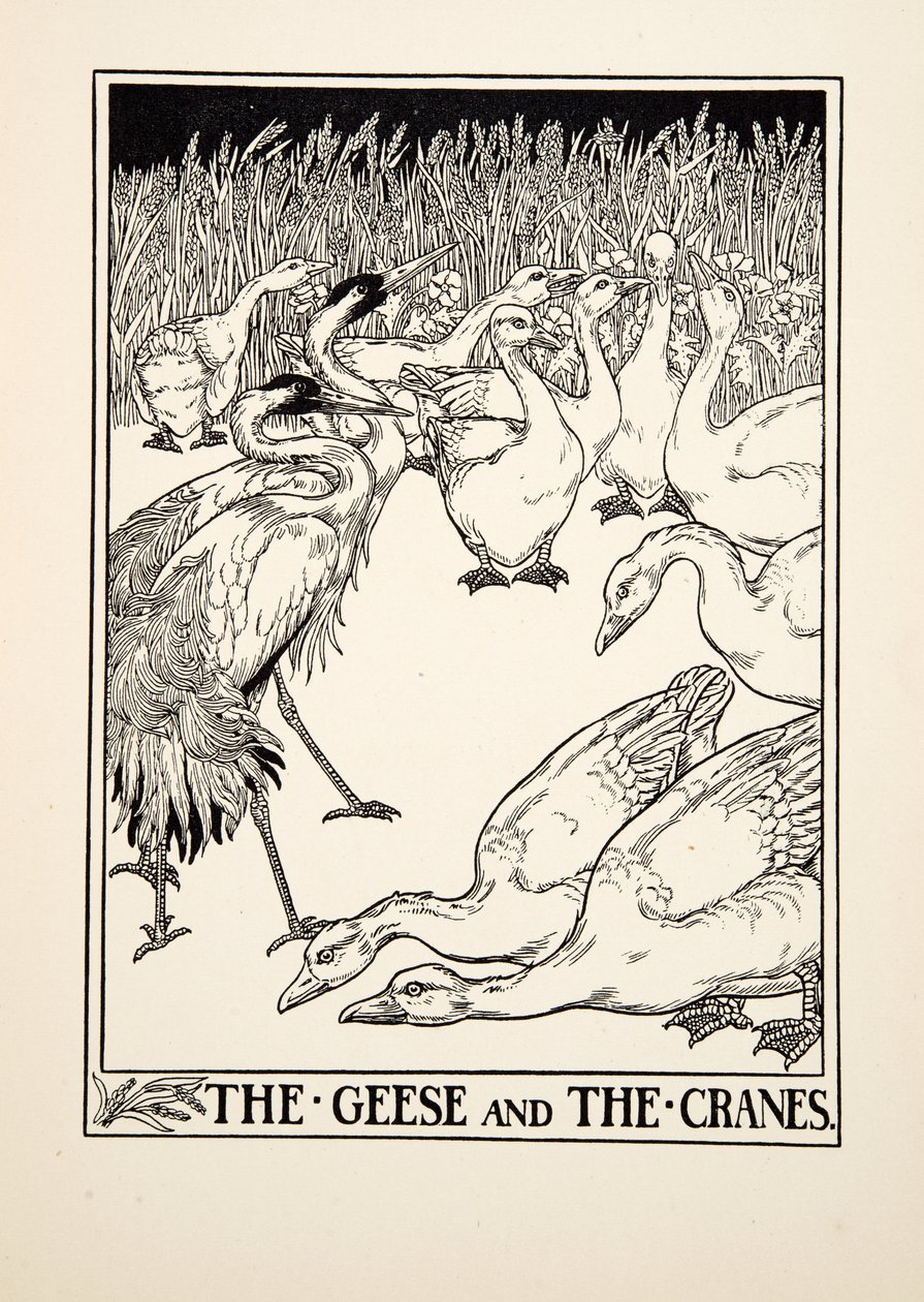 Gęsi i żurawie, z Stu bajek Ezopa, wyd. 1903 autorstwa Percy J. Billingshurst
