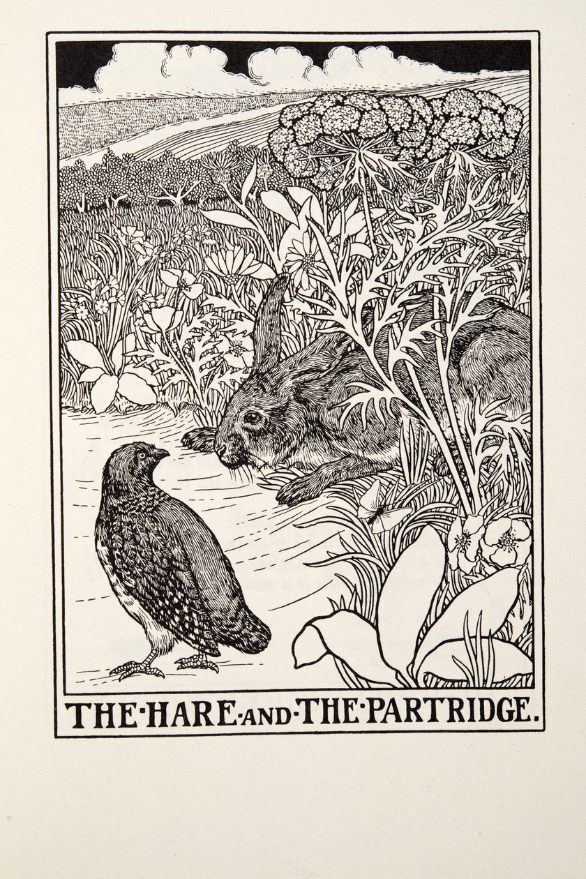 Zając i kuropatwa, z Fontaine Fables, wyd. 1905 autorstwa Percy J. Billingshurst