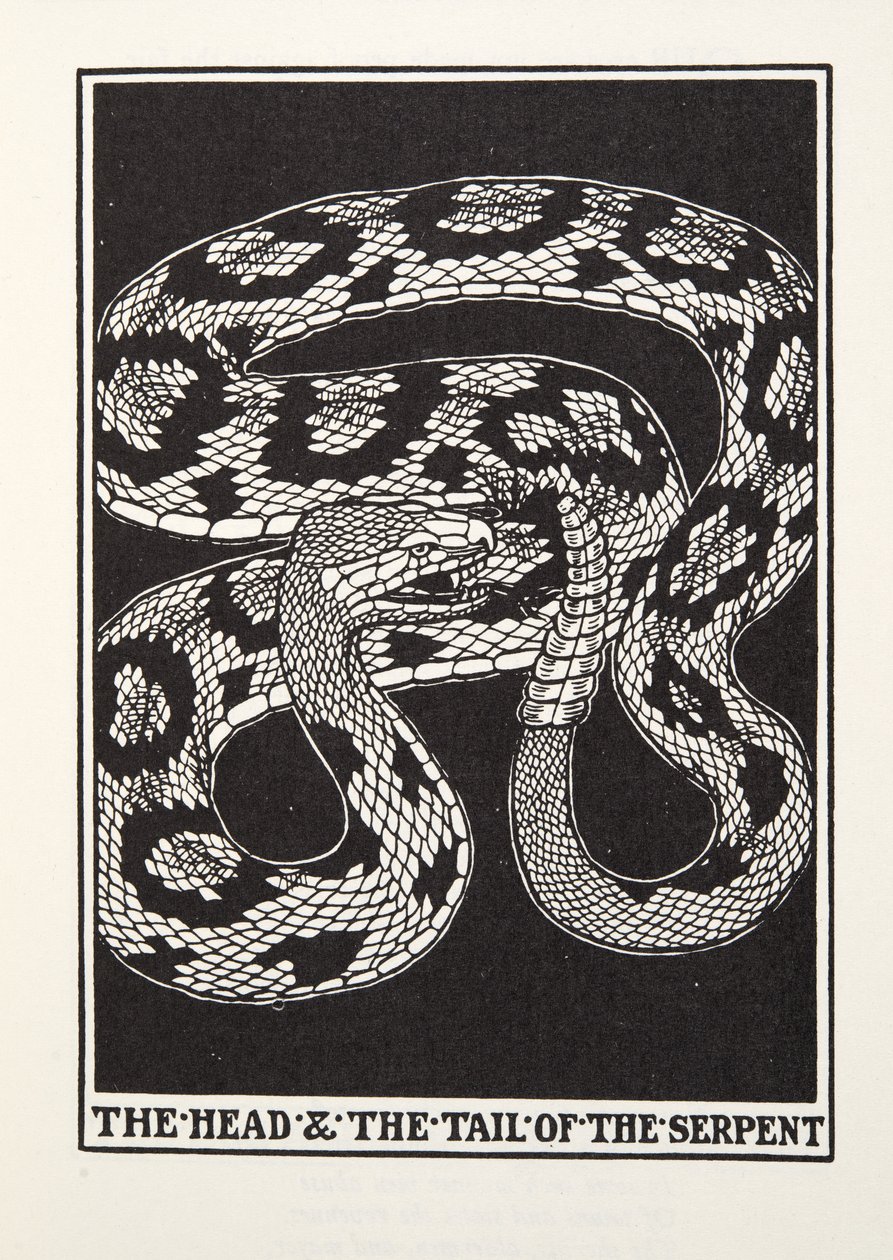 Głowa i ogon węża, z Fontaine Fables, wyd. 1905 (grawerowanie) autorstwa Percy J. Billingshurst