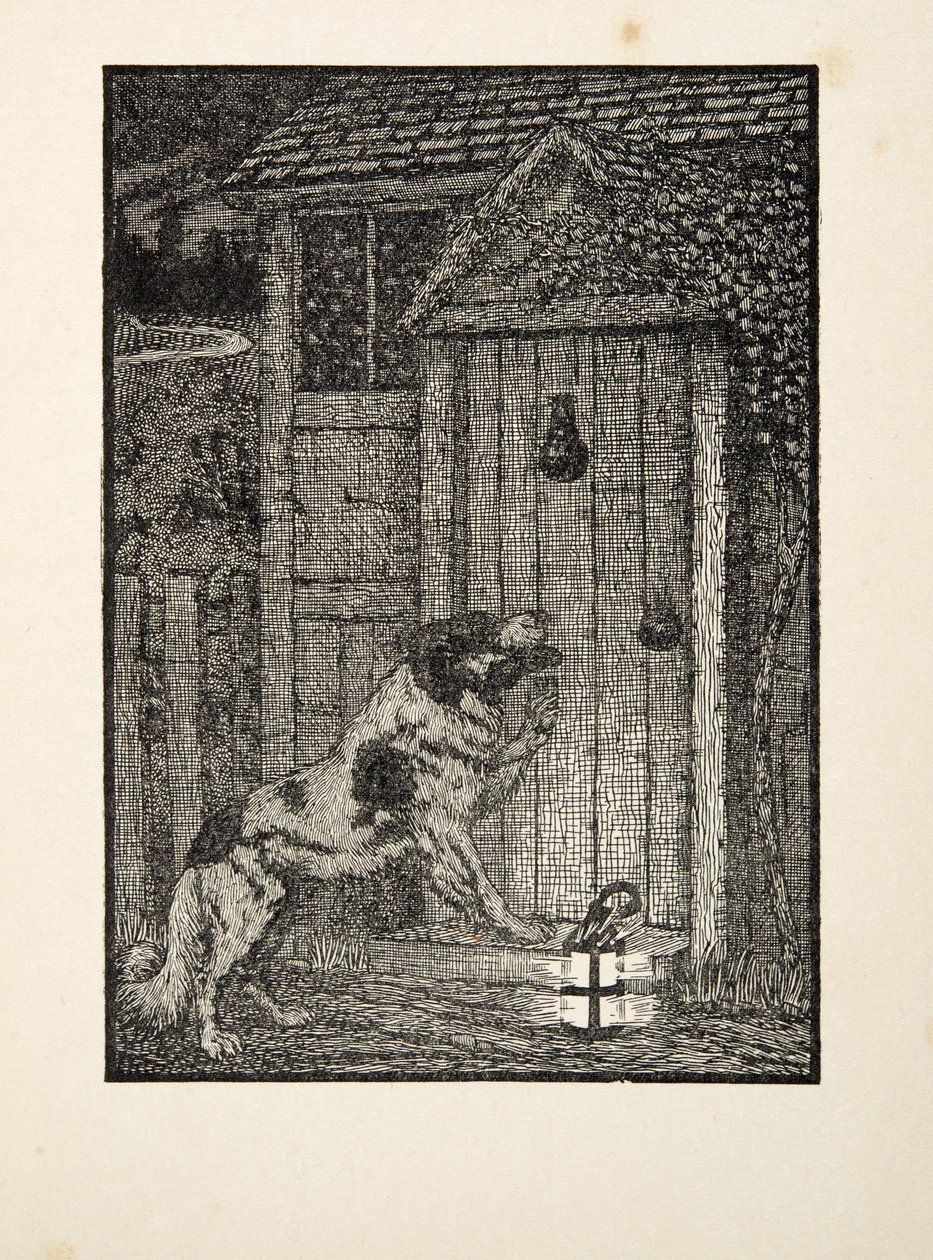 Pies nowofundlandzki, ze Sto anegdot zwierząt, wyd. 1924 autorstwa Percy J. Billingshurst