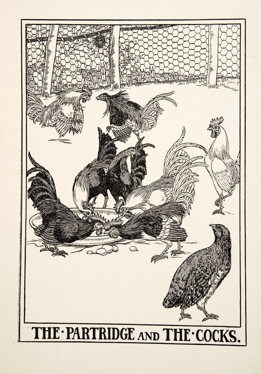 Kuropatwa i koguty, z Stu bajek Ezopa, wyd. 1903 autorstwa Percy J. Billingshurst