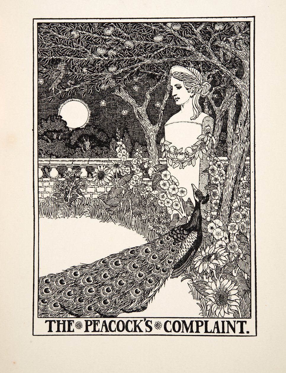Skarga na pawie, ze stu bajek Ezopa, wyd. 1903 autorstwa Percy J. Billingshurst