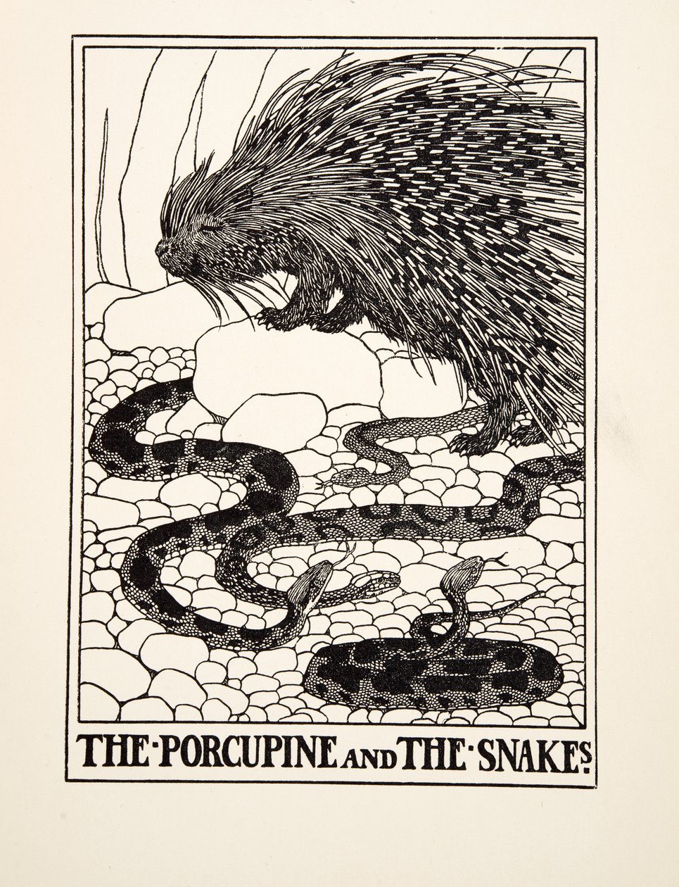 Jeżozwierz i węże, z Stu bajek Ezopa, wyd. 1903 (rycina) autorstwa Percy J. Billingshurst