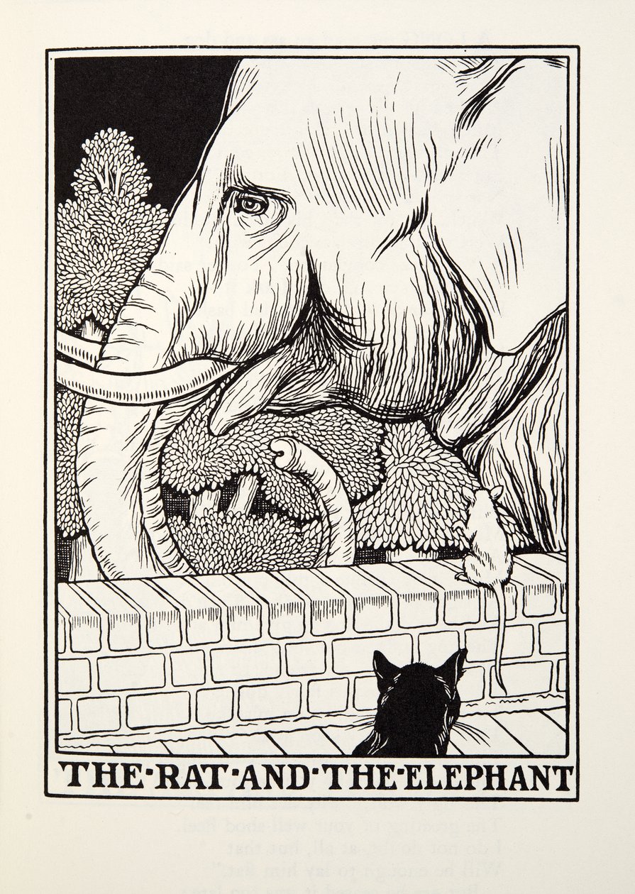 Szczur i słoń, z Fontaine Fables, wyd. 1905 autorstwa Percy J. Billingshurst