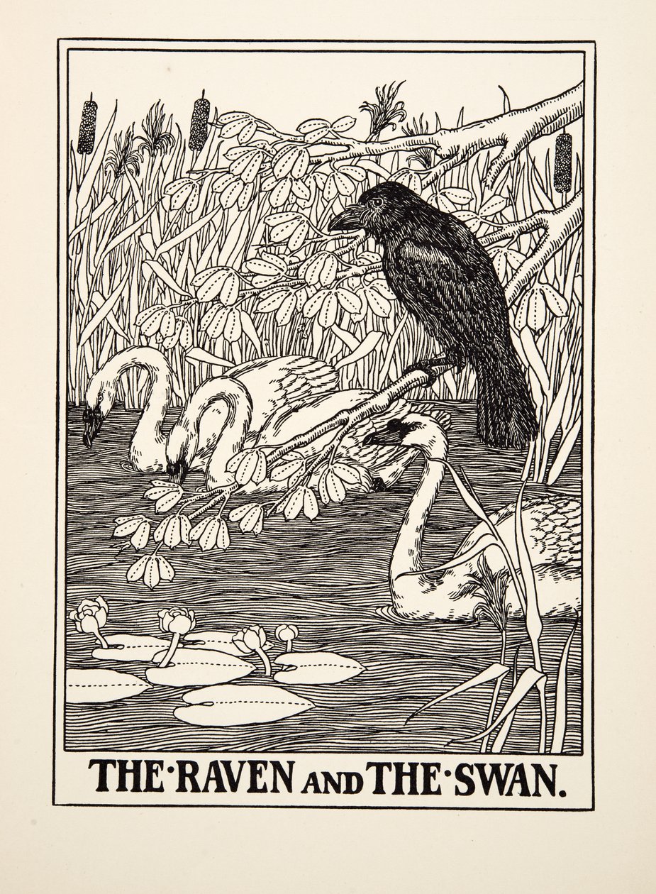Kruk i łabędź, z Stu bajek Ezopa, wyd. 1903 autorstwa Percy J. Billingshurst