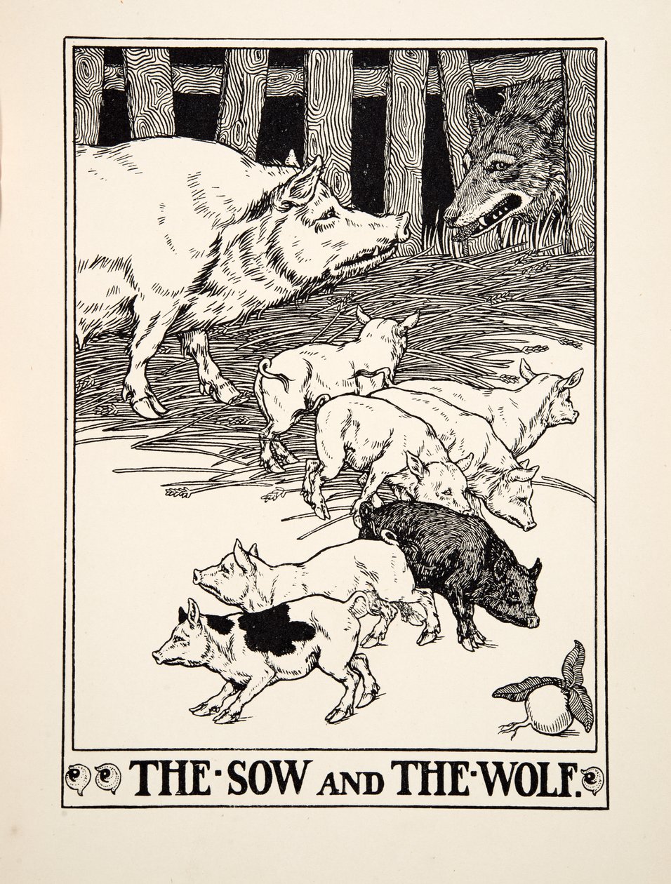 Locha i Wilk, z Stu bajek Ezopa, wyd. 1903 (rycina) autorstwa Percy J. Billingshurst