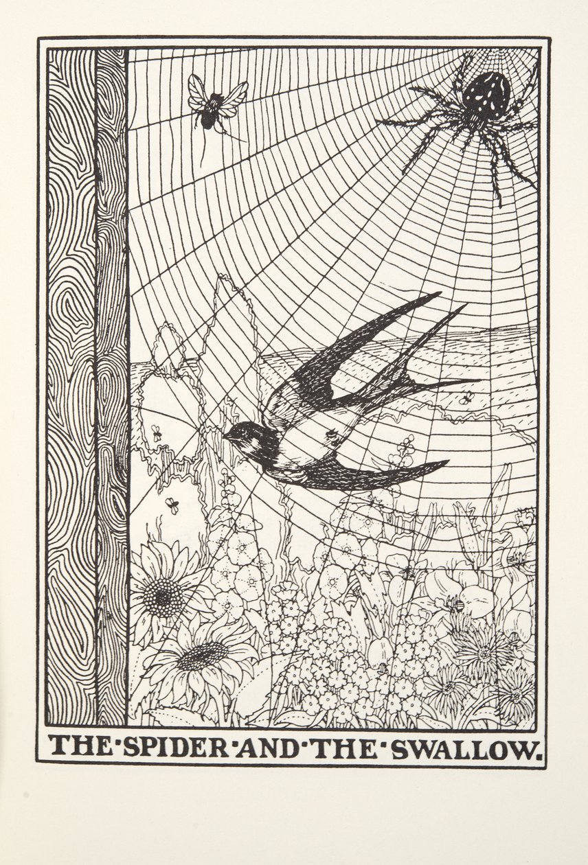 Pająk i jaskółka, z Fontaine Fables, wyd. 1905 autorstwa Percy J. Billingshurst