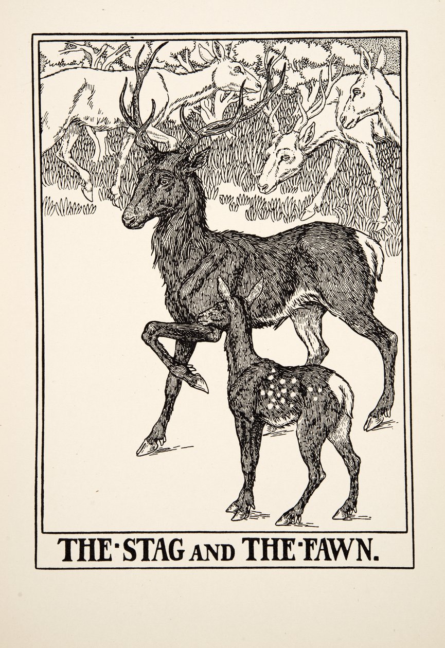 Jeleń i jelonek, z Stu bajek Ezopa, wyd. 1903 autorstwa Percy J. Billingshurst