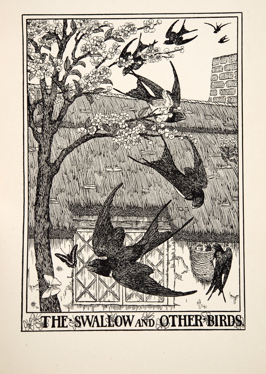 Jaskółka i inne ptaki, ze stu bajek Ezopa, wyd. 1903 autorstwa Percy J. Billingshurst