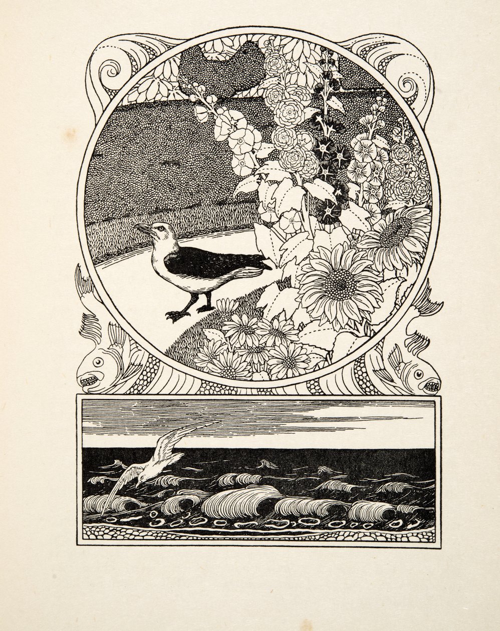 Oswojona mewa, z „Stu anegdot zwierząt”, wyd. 1924 (grawerowanie) autorstwa Percy J. Billingshurst