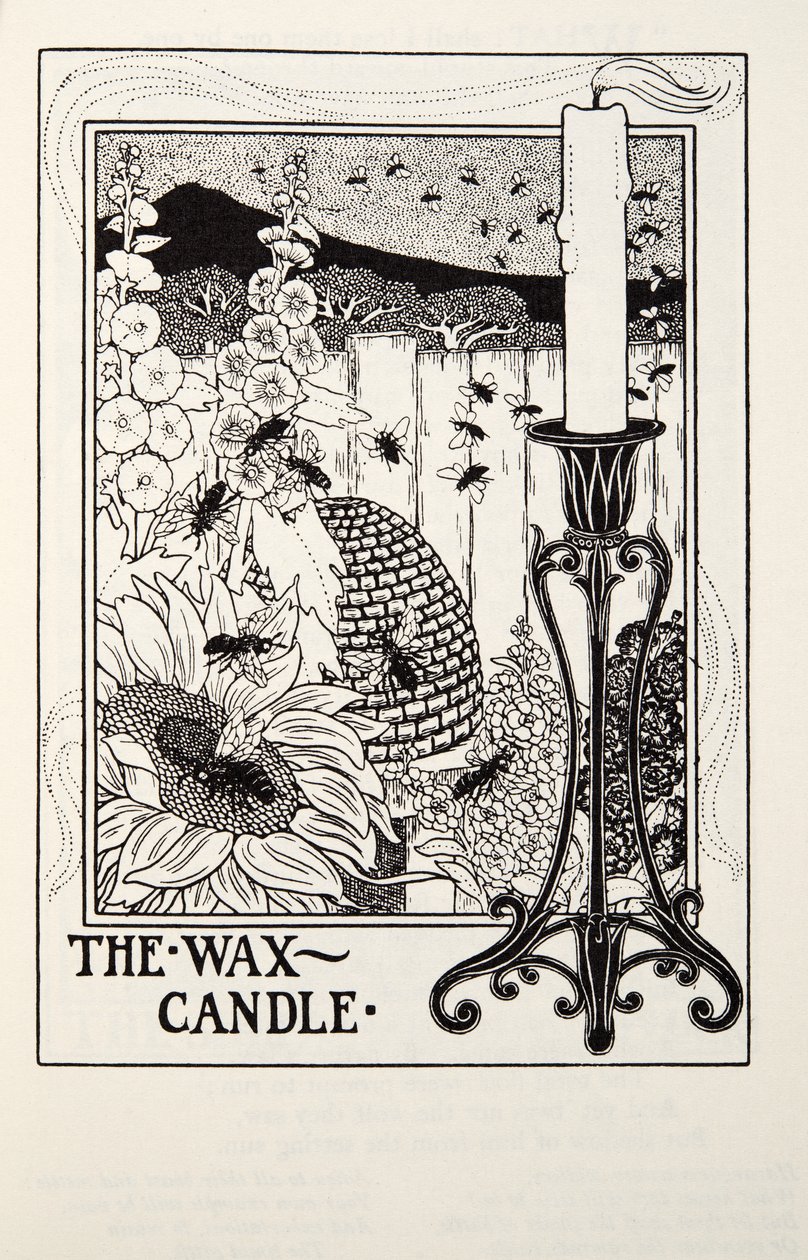 Świeca woskowa, z Fontaine Fables, wyd. 1905 autorstwa Percy J. Billingshurst