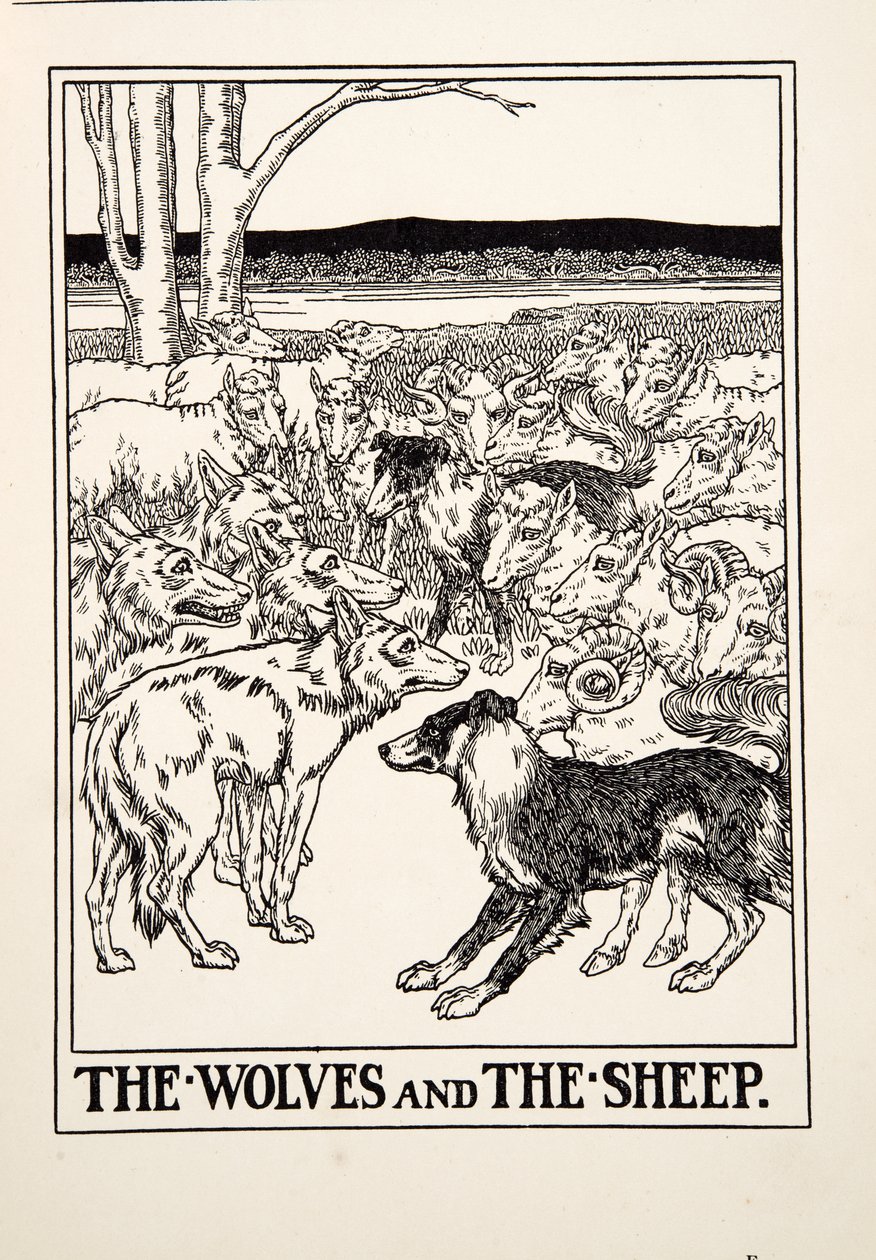 Wilki i owce, z Stu bajek Ezopa, wyd. 1903 (rycina) autorstwa Percy J. Billingshurst