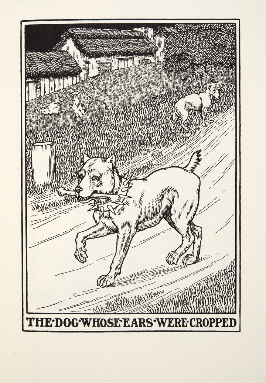 Pies, któremu przycięto uszy, z Fontaine Fables, wyd. 1905 autorstwa Percy J. Billingshurst