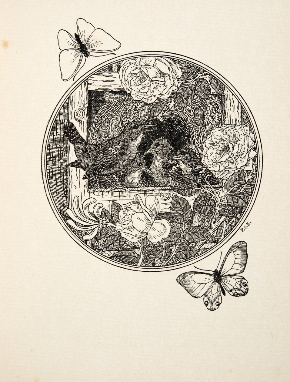 „Wrens Learning to Sing”, z „Stu anegdot zwierząt”, wyd. 1924 autorstwa Percy J. Billingshurst
