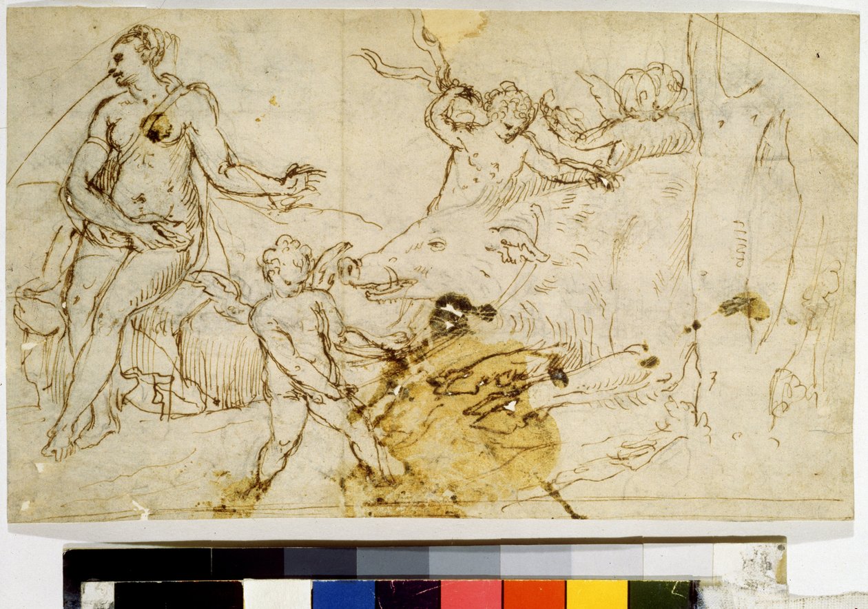  autorstwa Perino del (1501-47) Vaga