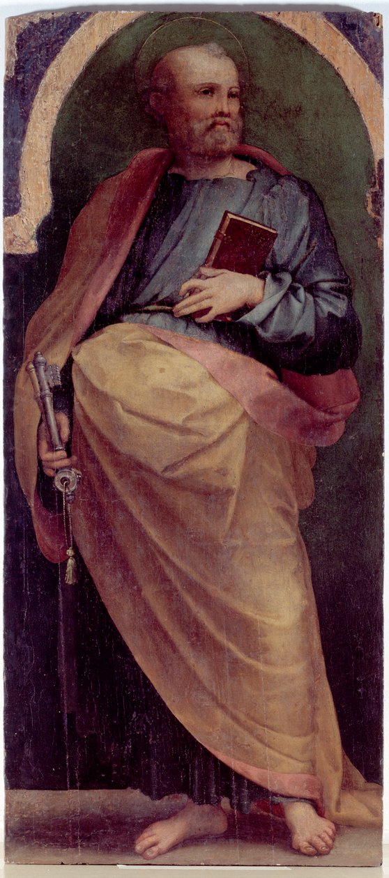 Św. Piotr, Panel boczny (olej na drewnie, ok.1535) autorstwa Perino del Vaga