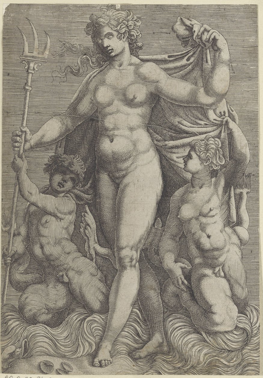 Thetis z dwoma trytonami Neptun i Tetyda z bogami morza i konikami morskimi (tytuł serii) autorstwa Perino del Vaga