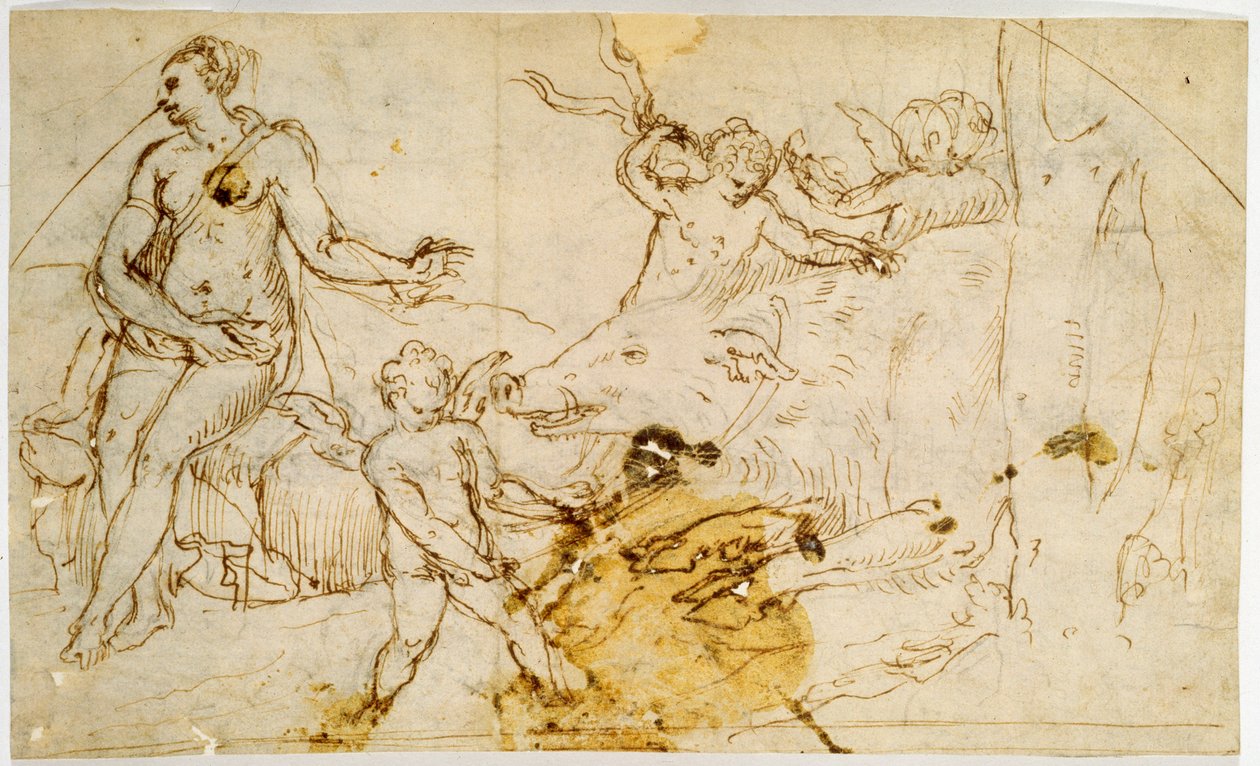Wenus, putta i dzik, ok. 1520-1540 autorstwa Perino del Vaga