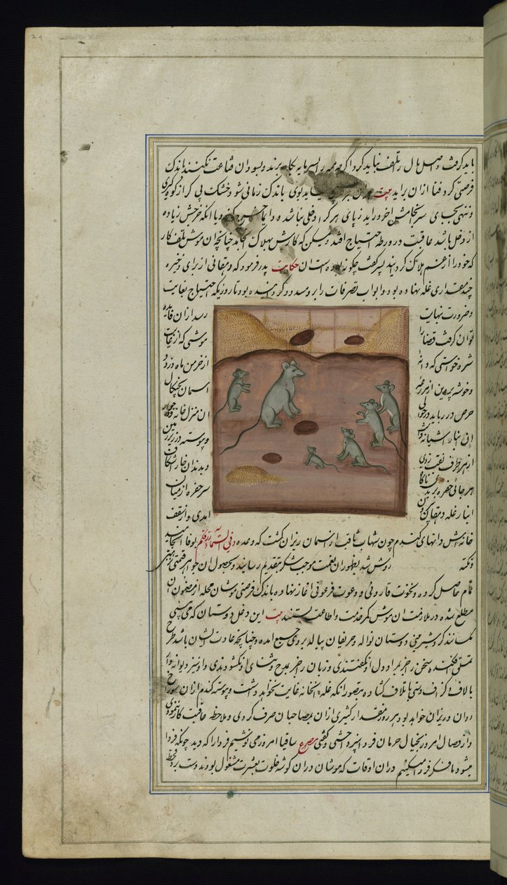 Zaopatrzenie farmera w kukurydzę atakowane przez myszy ze Świateł Canopus autorstwa Persian School