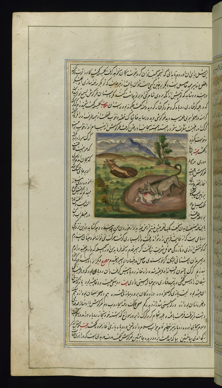 Szakal pożera zająca ze Świateł Canopus, 1847 autorstwa Persian School