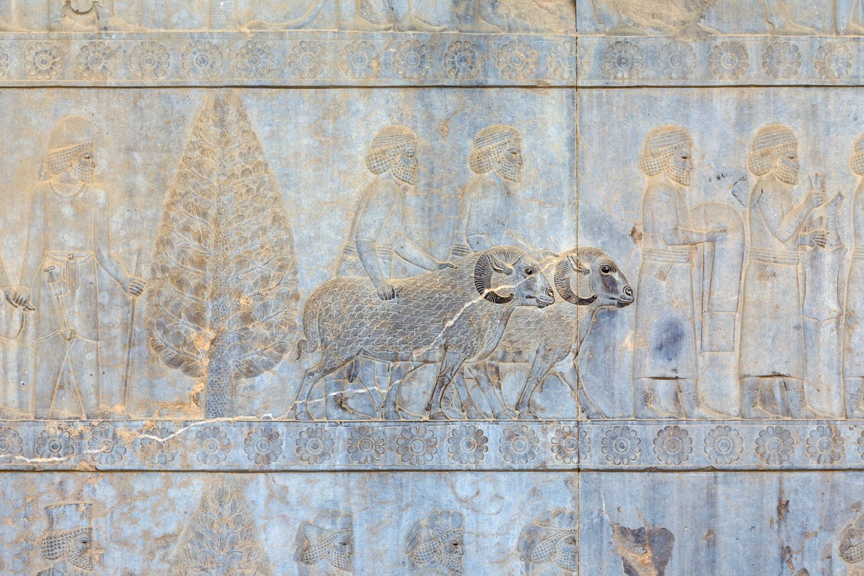 Płaskorzeźby na ścianach pałacu i klatki schodowej Apadana, Persepolis, Iran (piaskowiec) autorstwa Persian School