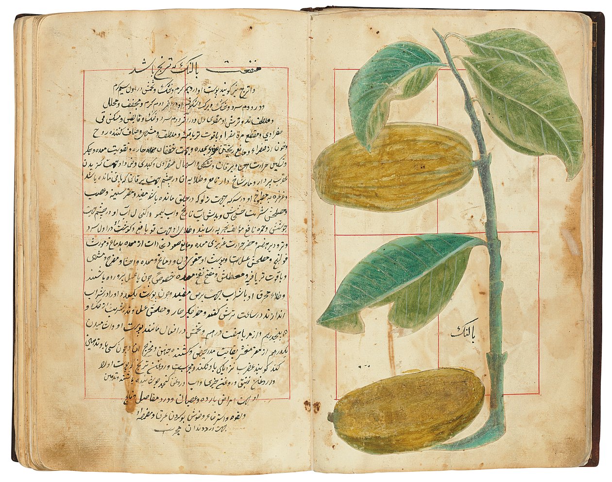 Hassan Bin Baqir Bin Jarrah: Ghalzar Al-Raihain, Qajar Iran autorstwa Persian School
