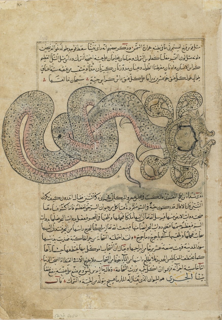 Morski Smok Wężowy (al-Tannin), folio z Ajaib al-makhluqat (Cuda stworzenia) autorstwa al-Qazviniego, Iraku lub wschodniej Turcji (nieprzezroczysta akwarela, atrament, złoto i srebro na papierze) autorstwa Persian School