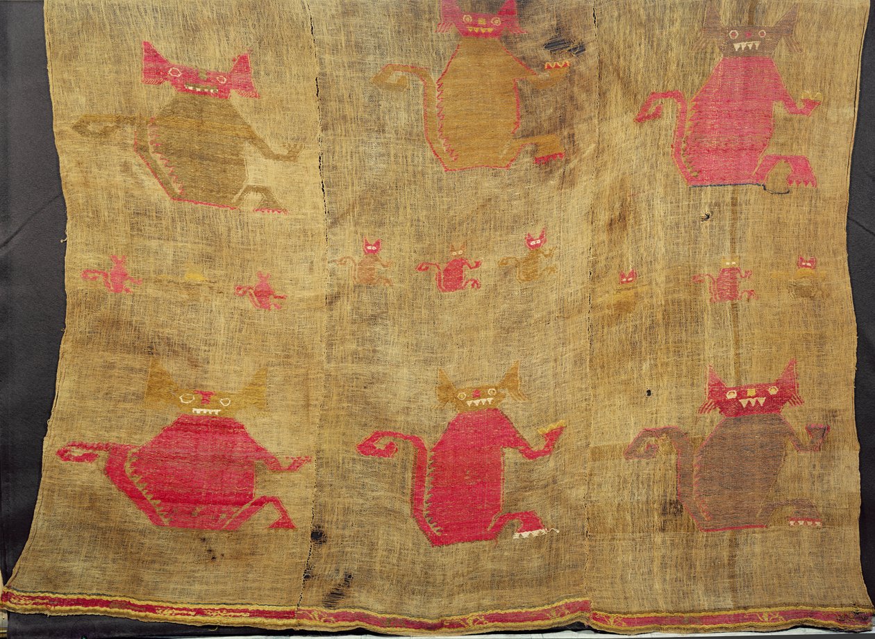 Całun peruwiański; bawełna i wigonia brokatowane kolorowymi wełnami, sprzed podboju (XV w.) autorstwa Peruvian School