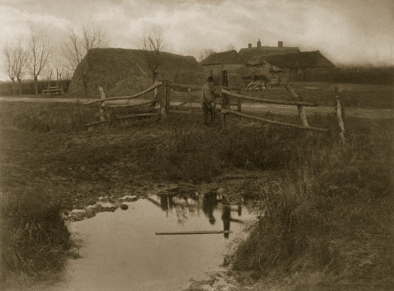 Farma bagienna, ok. 1886 (zdjęcie) autorstwa Peter Emerson und Thomas Goodall