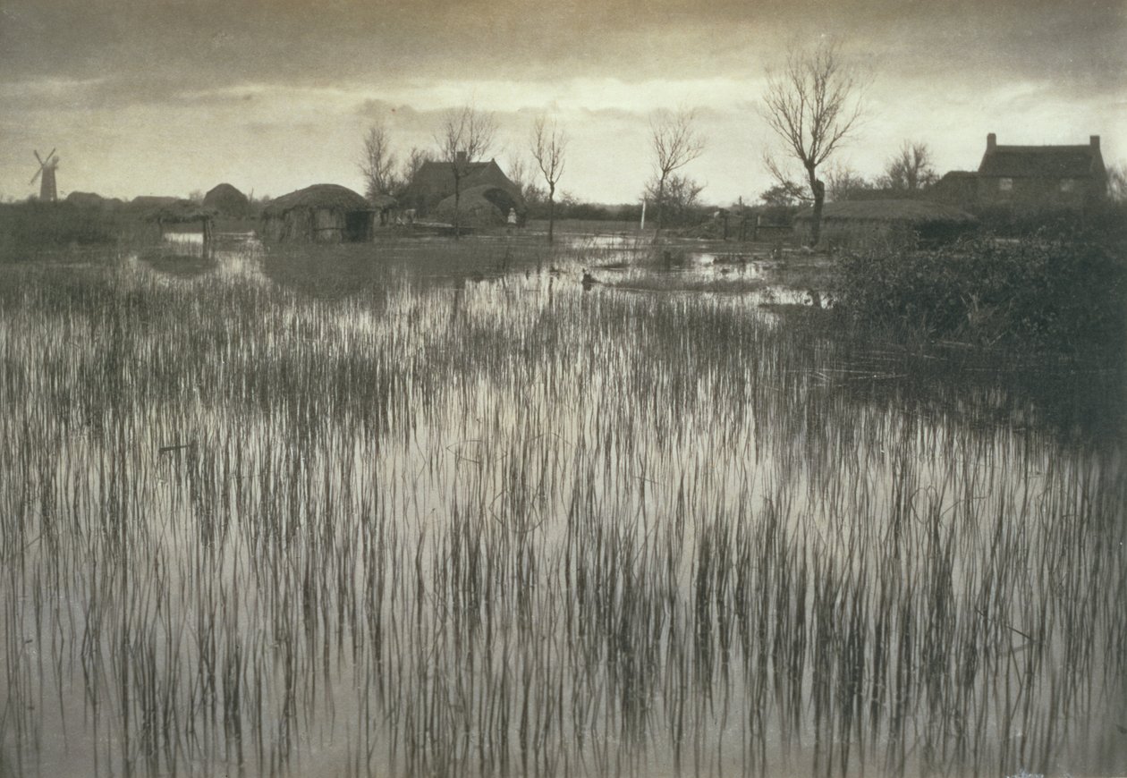 Rushy Shore, Życie i krajobraz na Norfolk Broads, c.1886 autorstwa Peter Emerson und Thomas Goodall