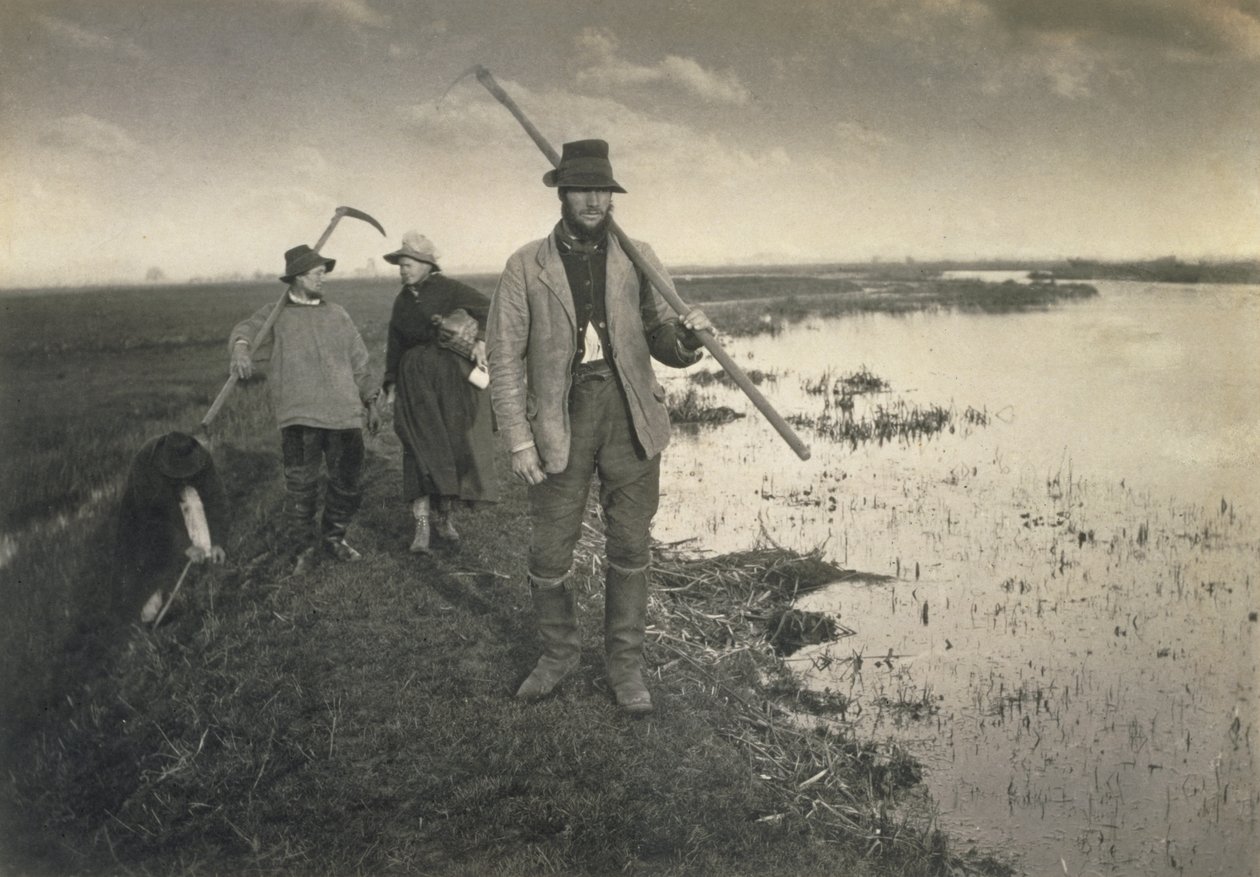 Cięcie Gladdon, Life and Landscape na Norfolk Broads, c.1886 autorstwa Peter Emerson und Thomas Goodall