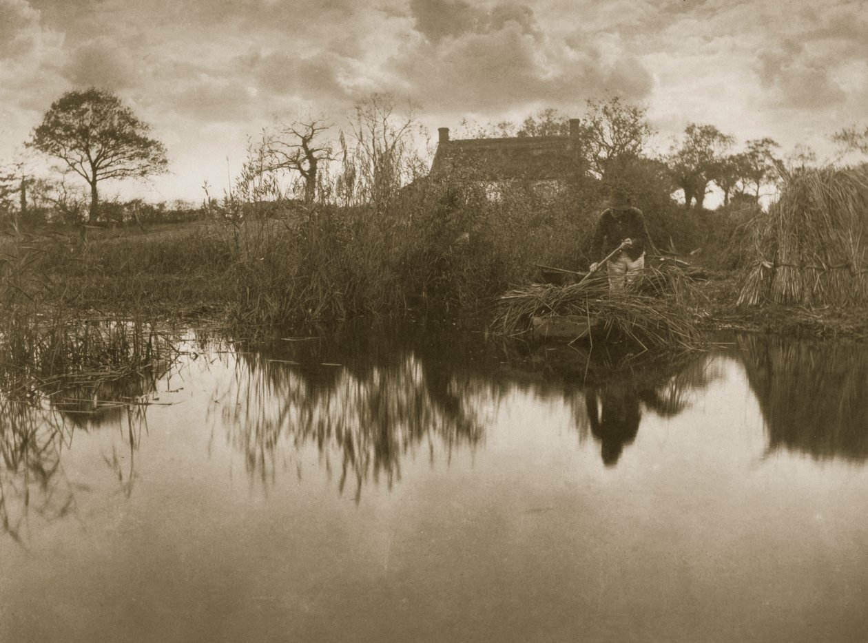 Zbieranie Gladdonów, ok. 1886 r. autorstwa Peter Emerson und Thomas Goodall