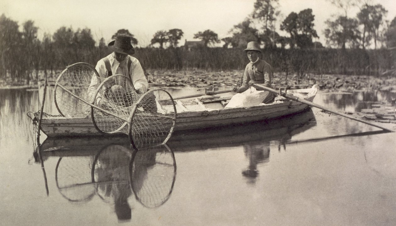 Ustawienie sieci łukowej, życia i krajobrazu na Norfolk Broads; c.1886 autorstwa Peter Emerson und Thomas Goodall