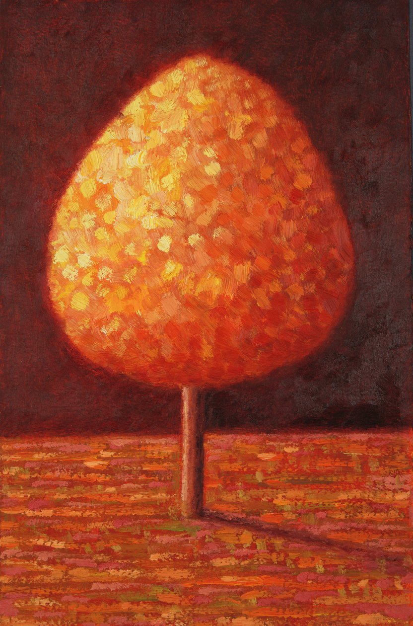 Drzewo skąpane w słońcu, 1996 autorstwa Peter Davidson