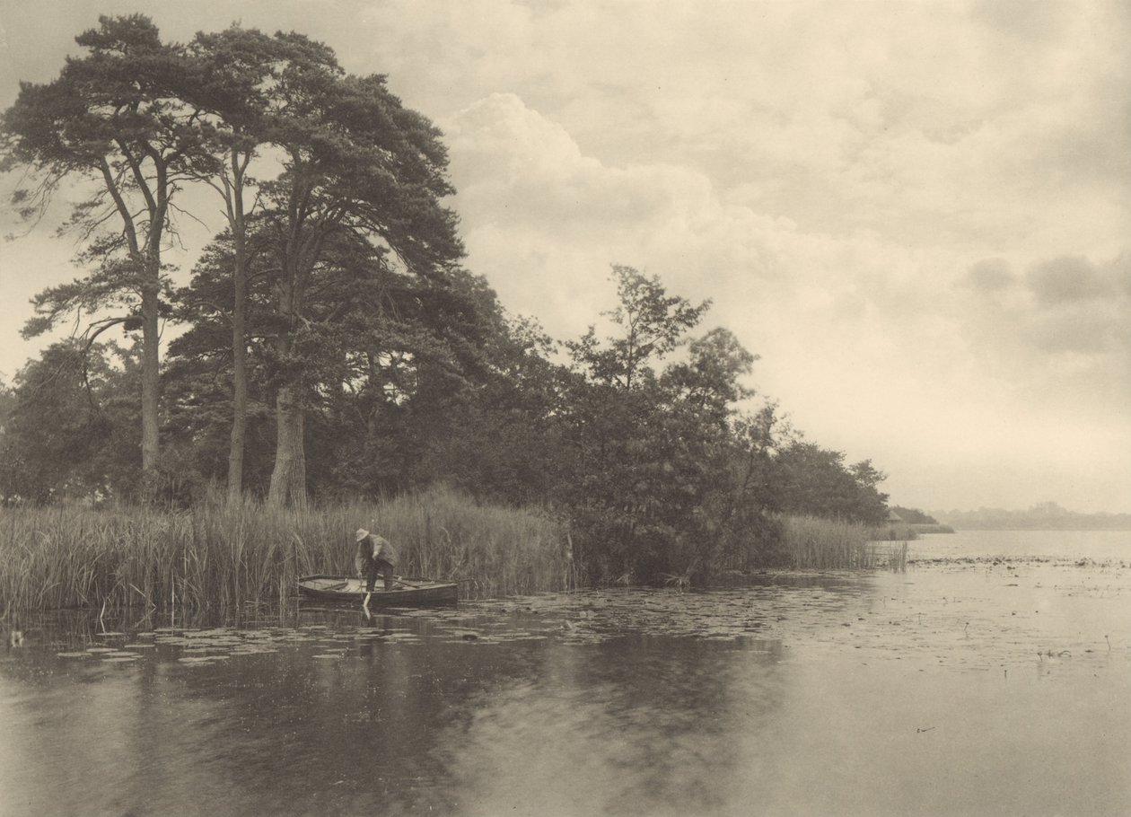 Nawiedzenie szczupaka autorstwa Peter Henry Emerson