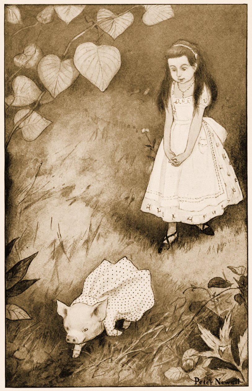 „Więc odłożyła małe stworzenie”, ilustracja do Alice