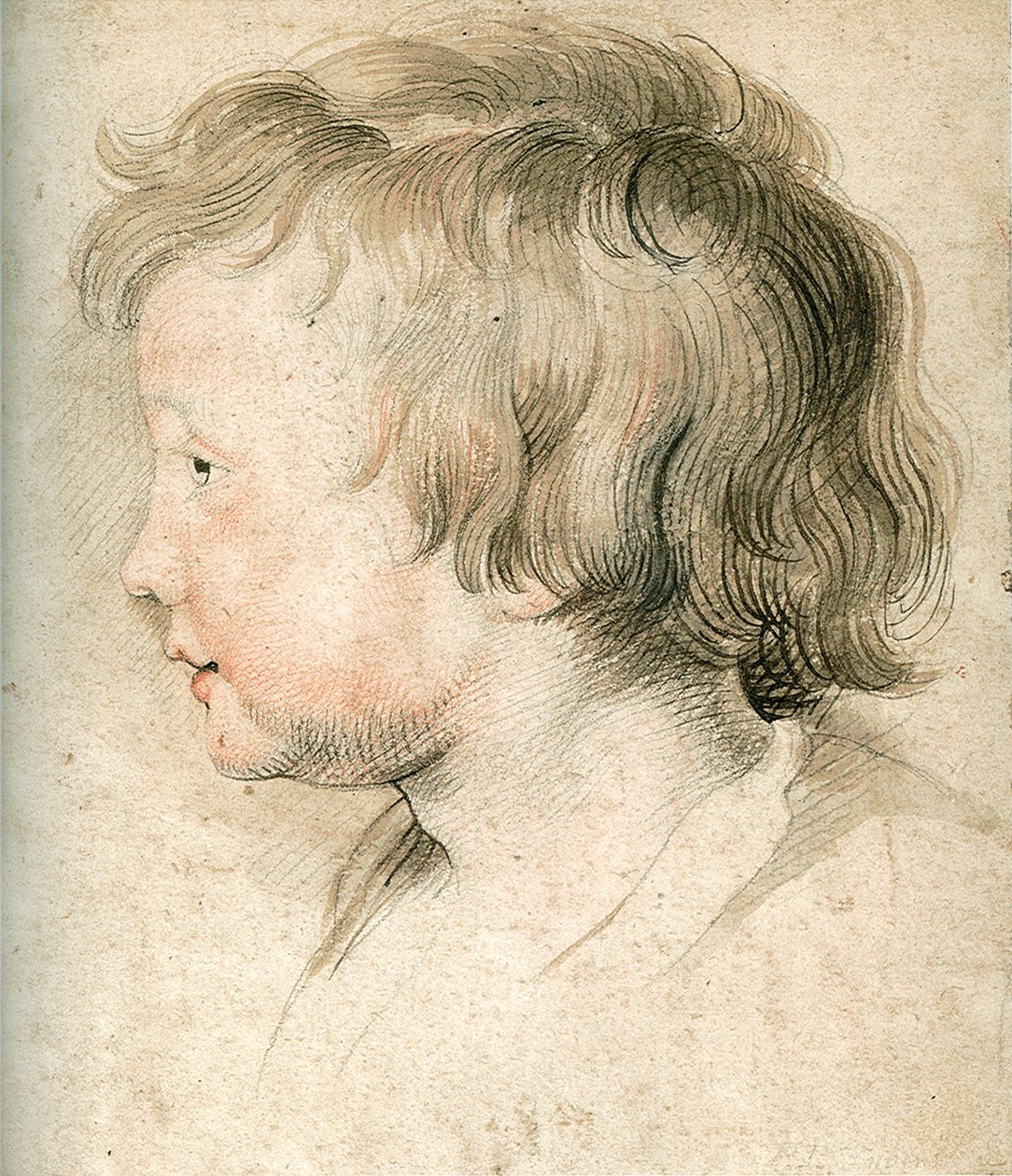 Albert Rubens autorstwa Peter Paul Rubens