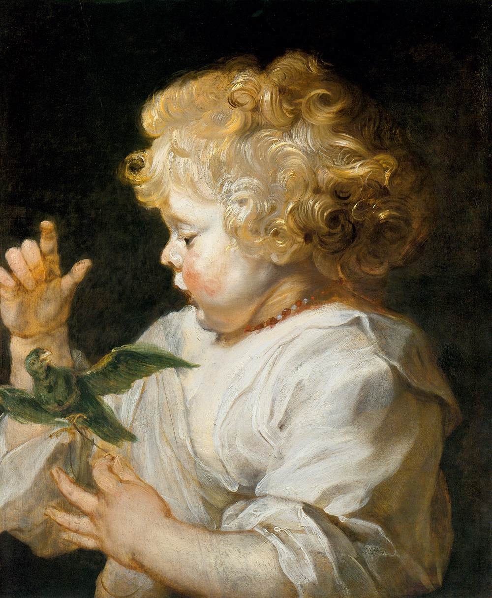 Chłopiec z ptakiem autorstwa Peter Paul Rubens