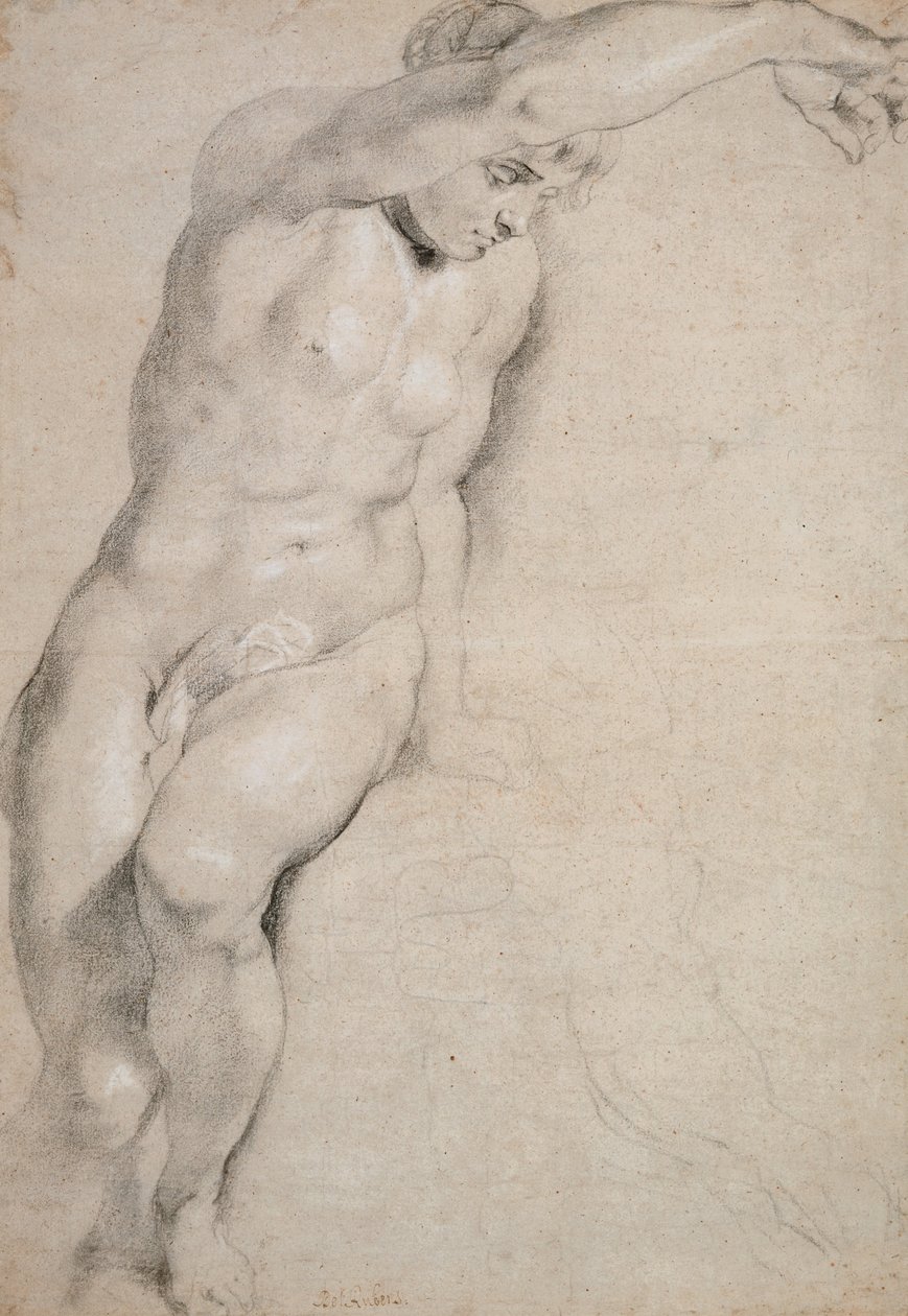 Psyche autorstwa Peter Paul Rubens