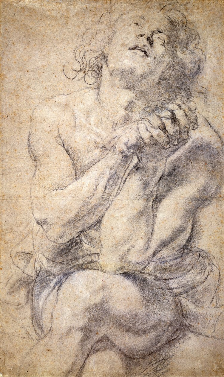 Siedzący młodzieniec (studium dla Daniela) autorstwa Peter Paul Rubens