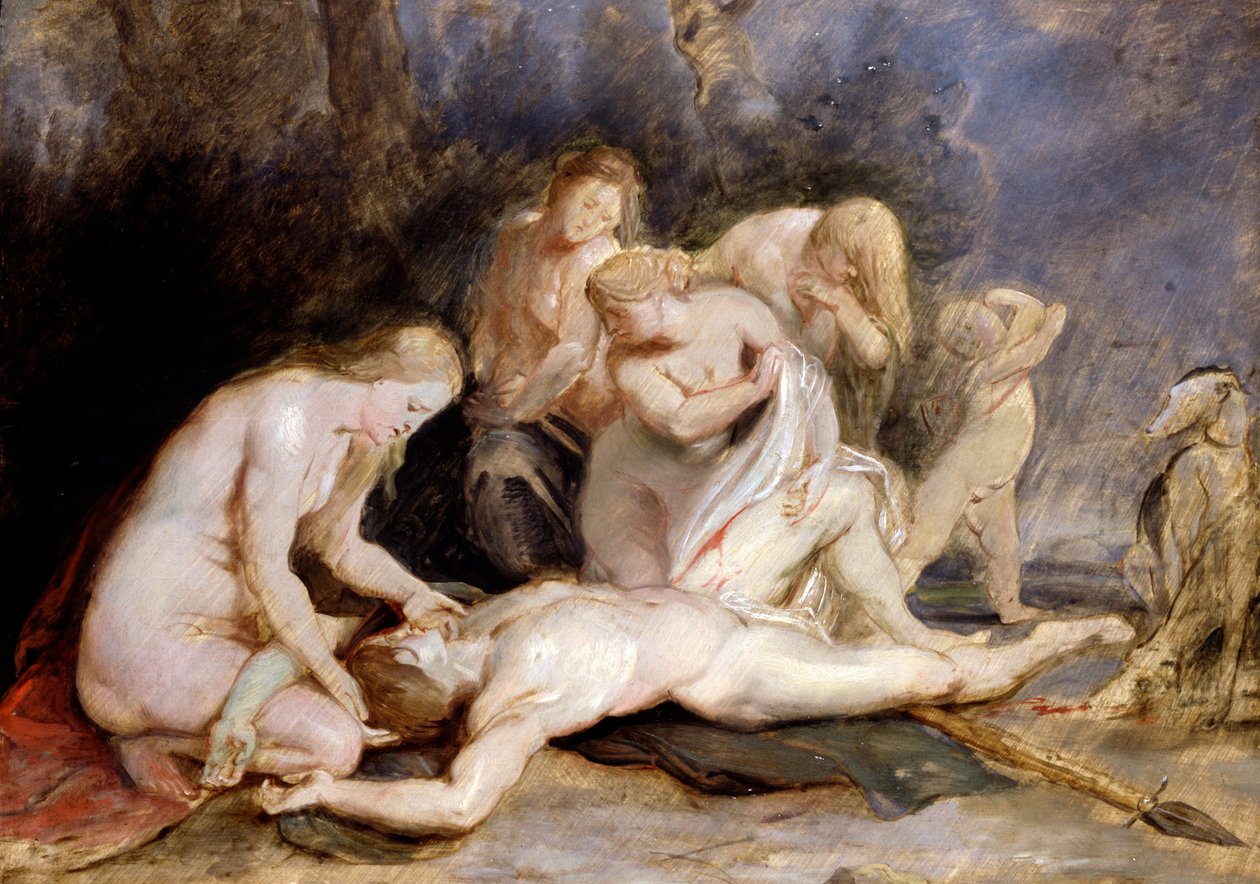 Adonis w żałobie Wenus autorstwa Peter Paul Rubens