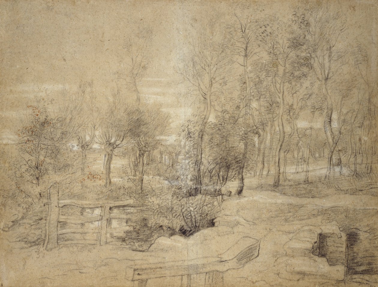 Scena w lesie (węgiel olejny muśnięty czerwoną i białą kredą na papierze w kolorze kamienia) autorstwa Peter Paul Rubens