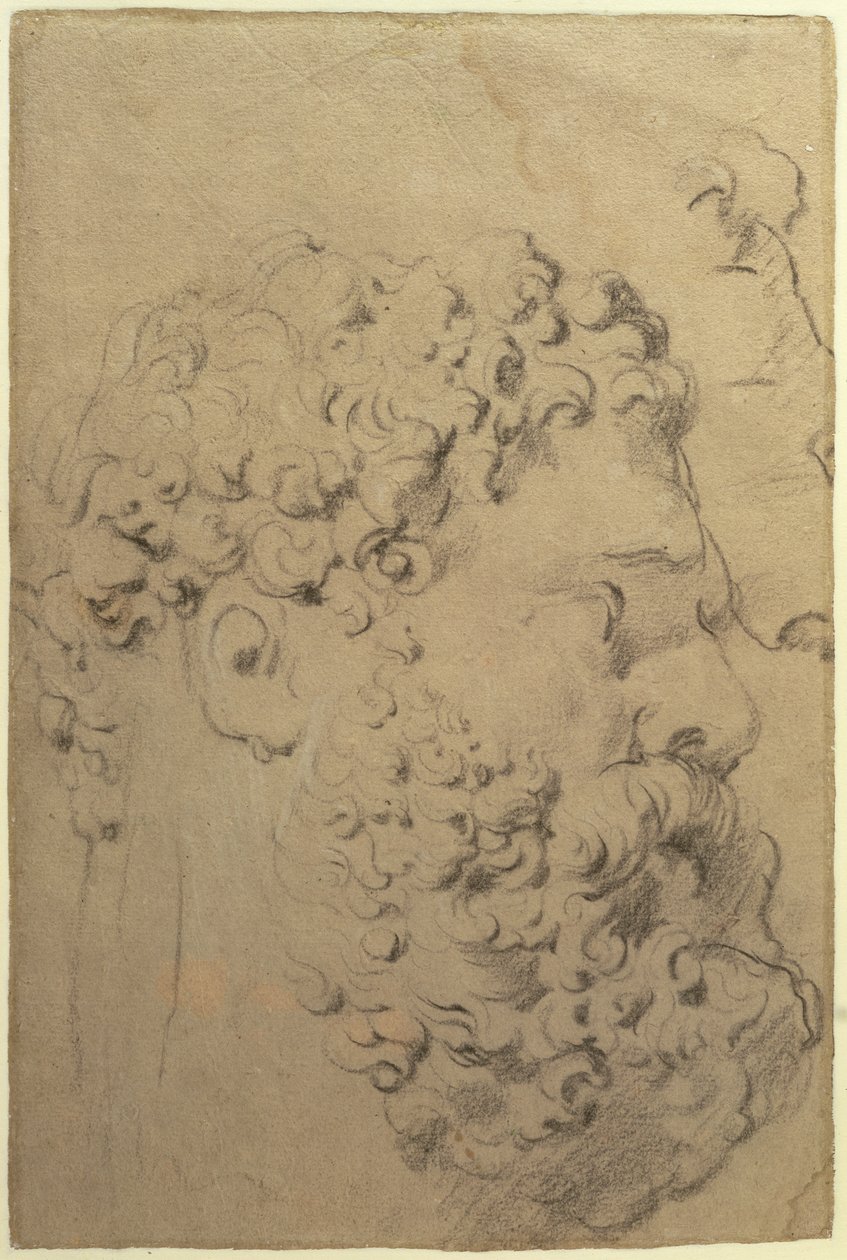 Studia głowy i profilu Herkulesa Farnese autorstwa Glycon, verso, 1606-08 (czarno-biała kreda na papierze) autorstwa Peter Paul Rubens