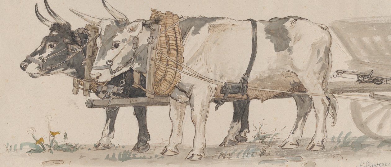 Dwa woły ciągnące wóz, 1874. autorstwa Peter Christian Thamsen Skovgaard