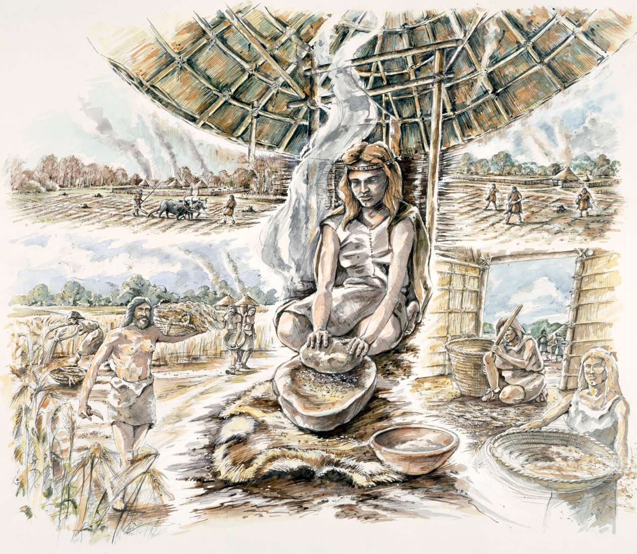 Produkcja ziarna neolitycznego, c1990-2010 autorstwa Peter Dunn